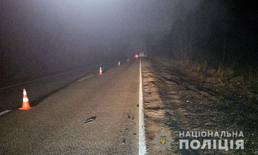 Поліцейські розслідують обставини загибелі пішохода поблизу Слов’янська