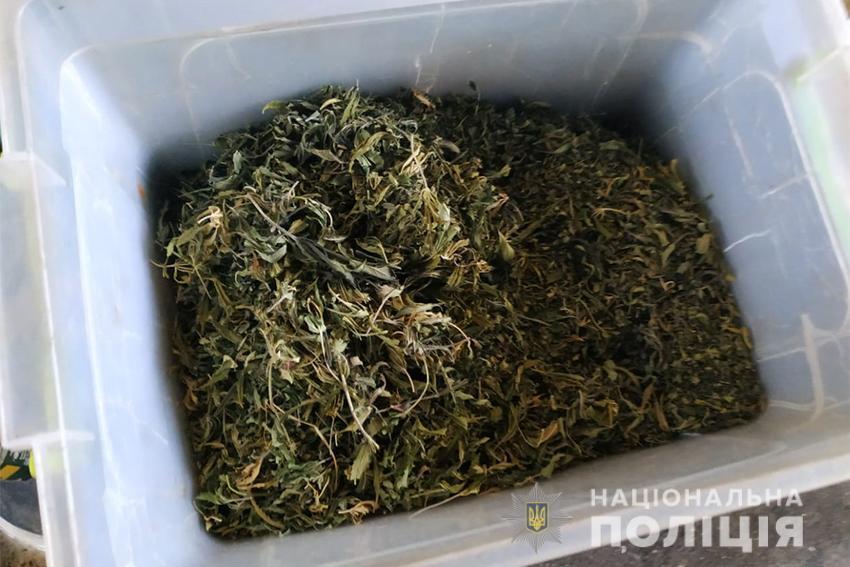 У жителя Запоріжжя поліцейські виявили міні-теплицю з вирощування конопель