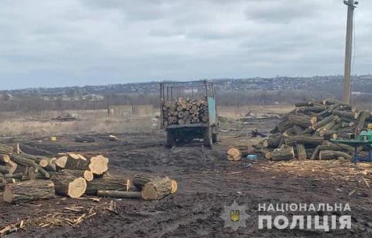 На Дніпропетровщині поліція викрила злочинну організацію на незаконній порубці лісу на 2,6 млн грн
