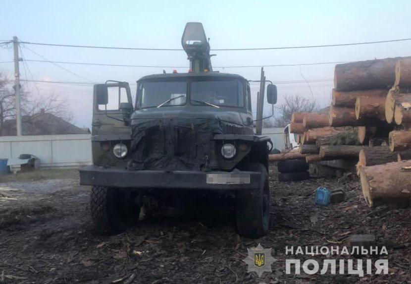 На Дніпропетровщині поліція викрила злочинну організацію на незаконній порубці лісу на 2,6 млн грн