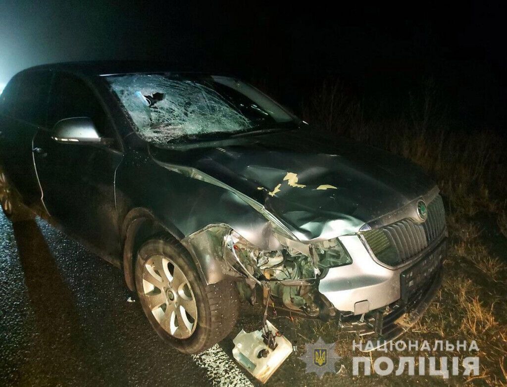 Поліція розслідує смертельний наїзд на пішохода в Нікольському районі