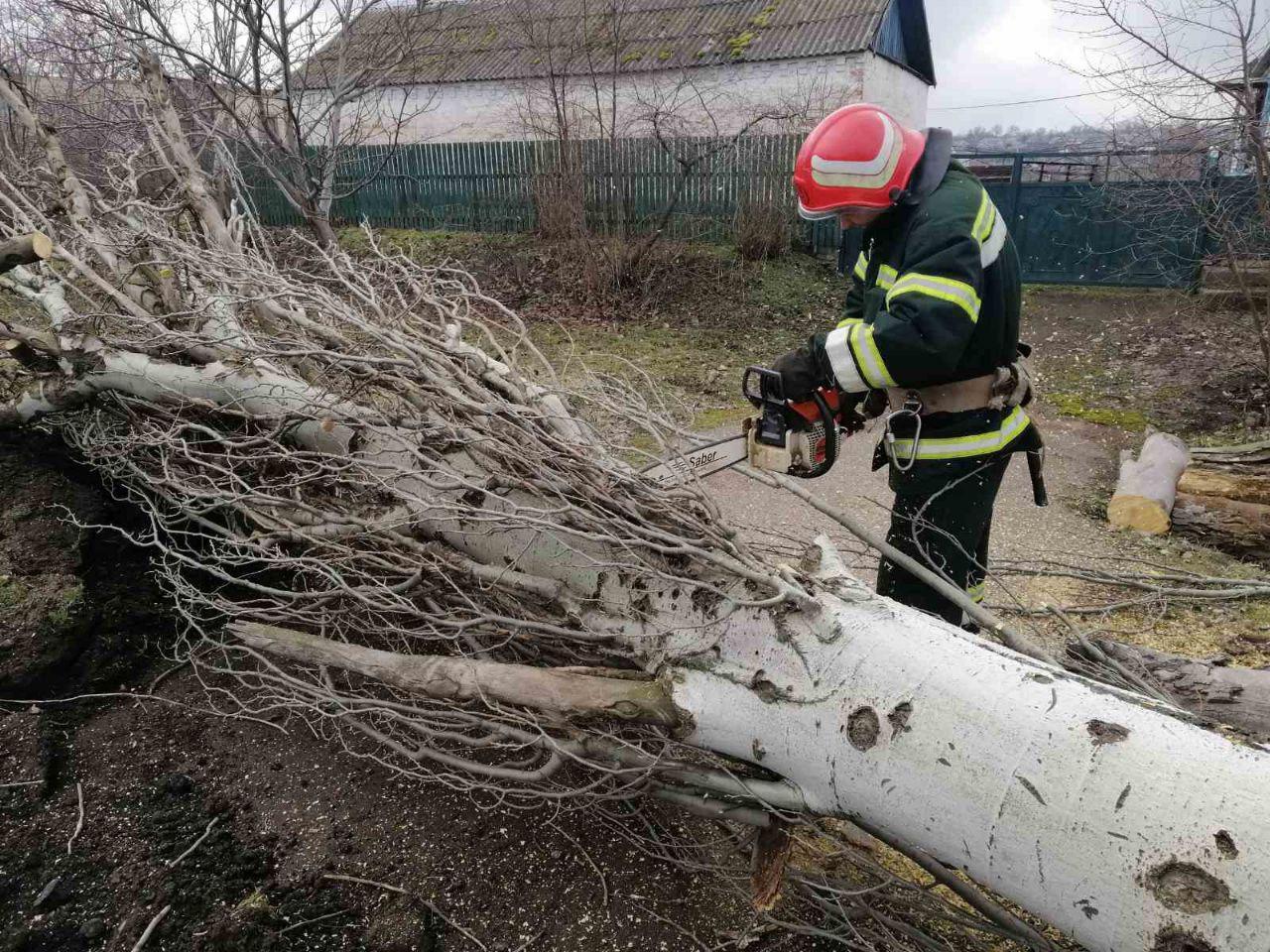 Кіровоградська область: у Новоукраїнці рятувальники надали допомогу комунальним службам по спилюванню аварійних дерев