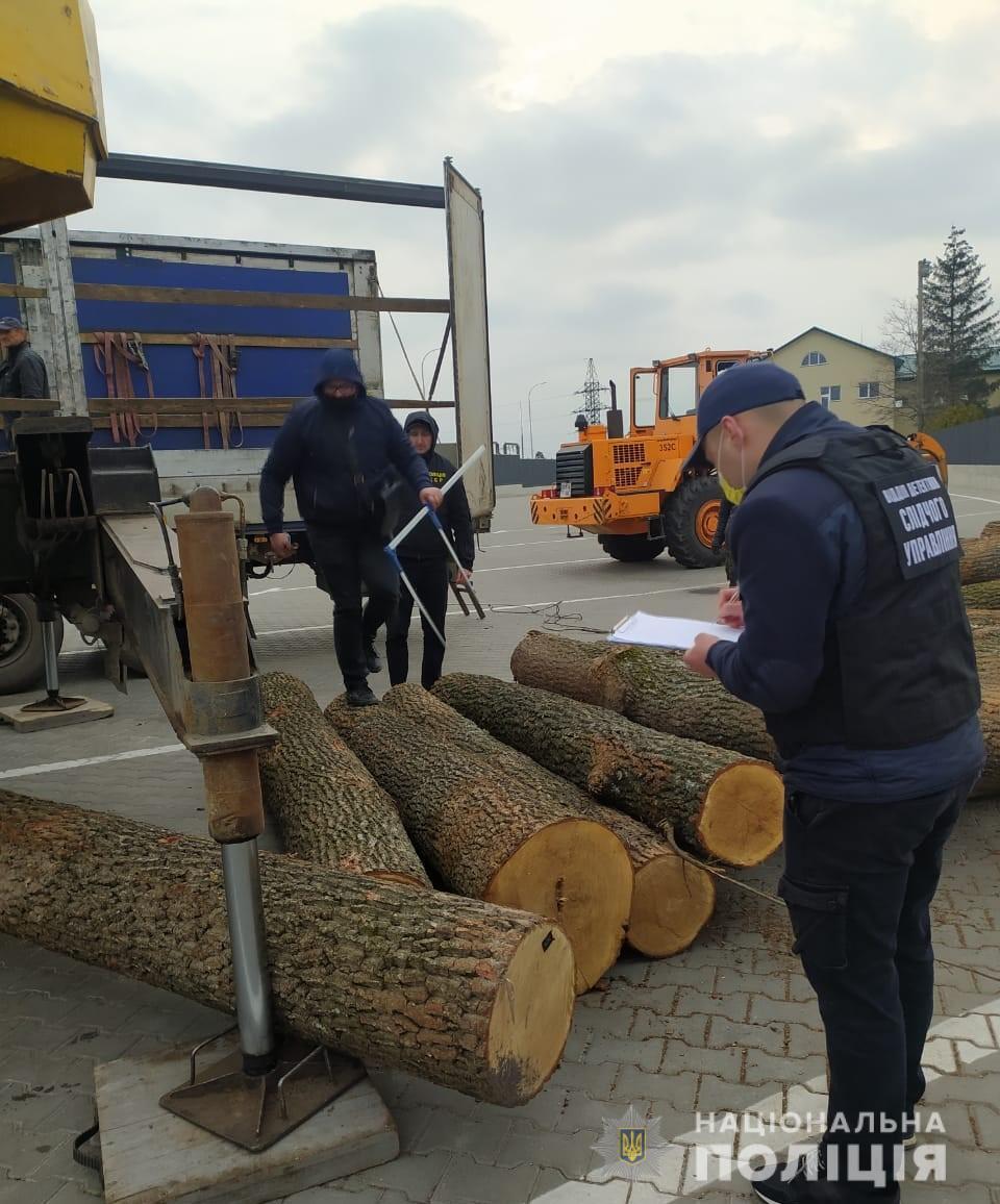 На Вінниччині поліцейські викрили організовану злочинну групу, яка налагодила схему розкрадання лісопродукції