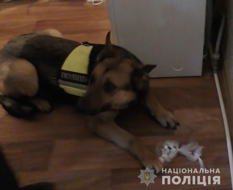 У Миколаєві правоохоронці затримали організовану групу, яка займалася збутом метадону та намагалася підкупити посадовця поліції