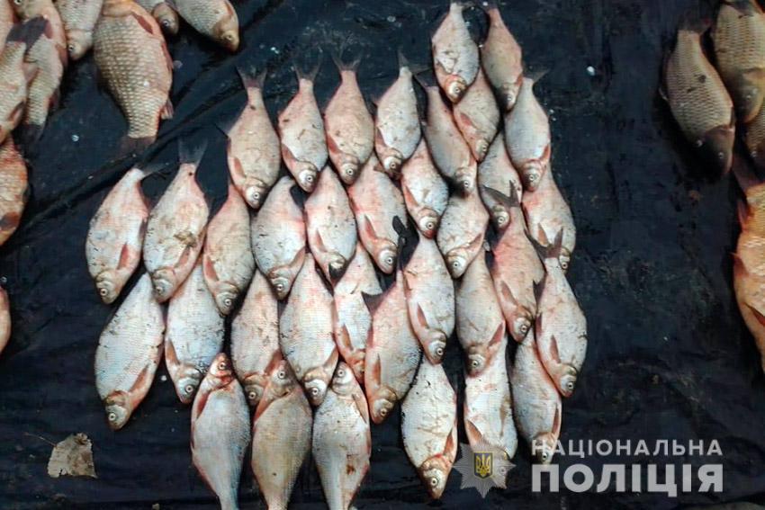 На Хмельниччині поліцейські затримали браконьєра із сусідньої області, у якого вилучили майже 250 кг риби
