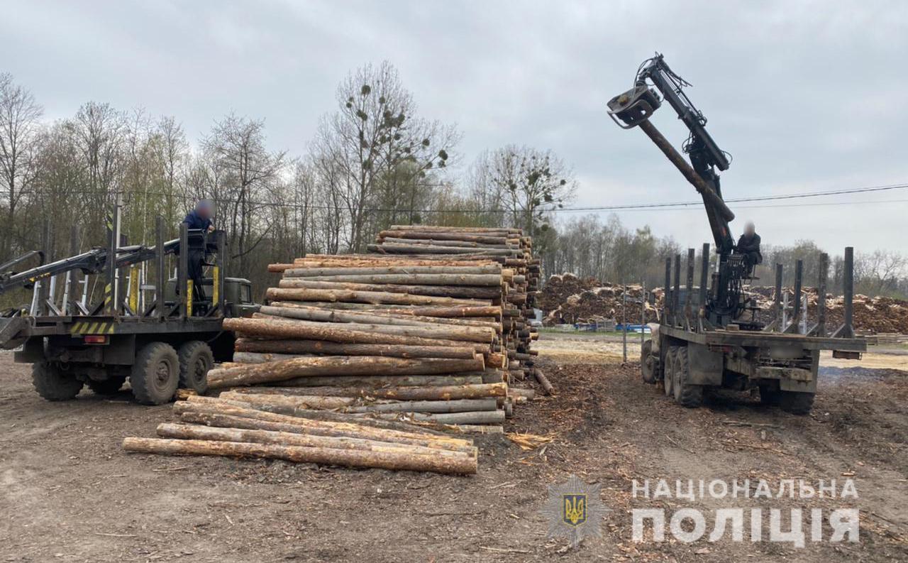 Понад 100 метрів кубічних необлікованої деревини та пиломатеріалів: результати обшуку на деревопереробному підприємстві на Волині