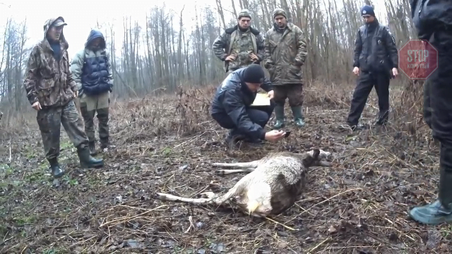  Полювання на браконьєрів. Фото: особистий архів З. Близнюка