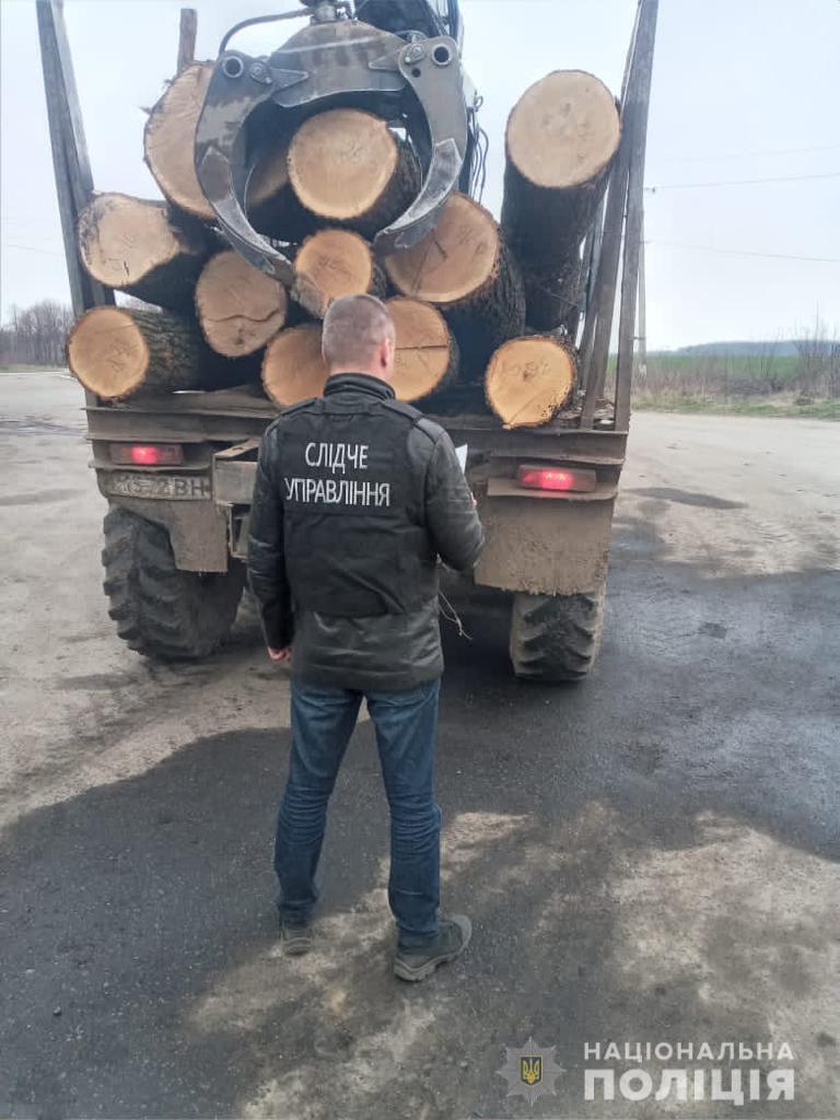 На Вінниччині поліцейські викрили організовану злочинну групу, яка налагодила схему розкрадання лісопродукції