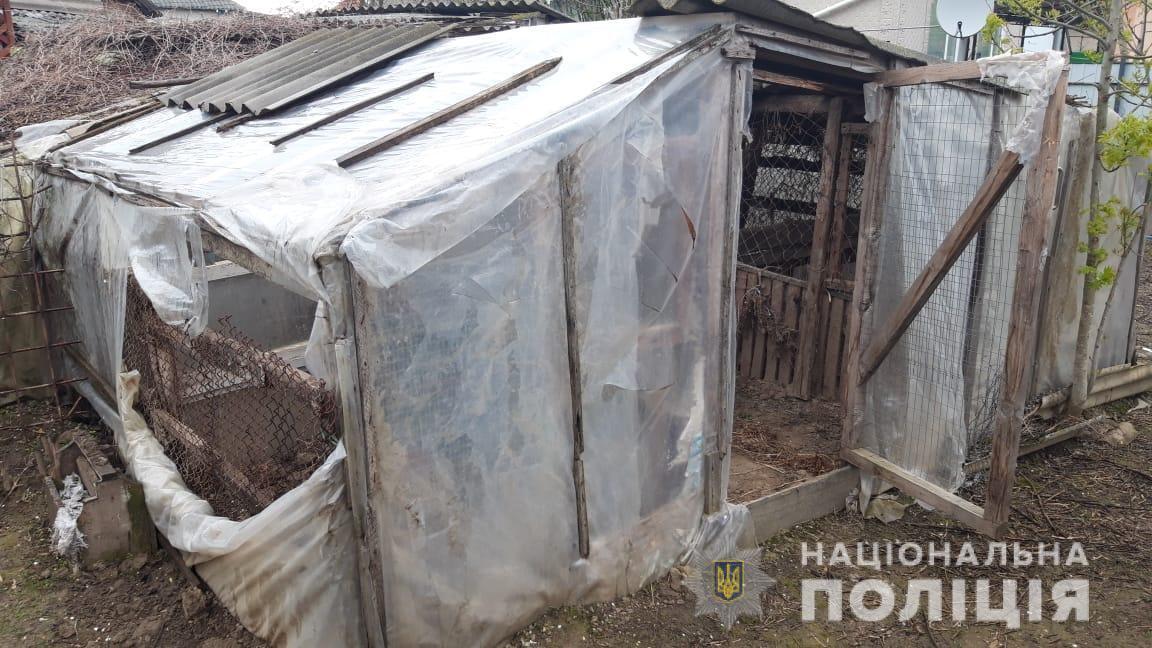 Правоохоронці притягують до відповідальності двох вилковчан за незаконне поводження з вибухонебезпечним предметом та вирощування наркотичного зілля