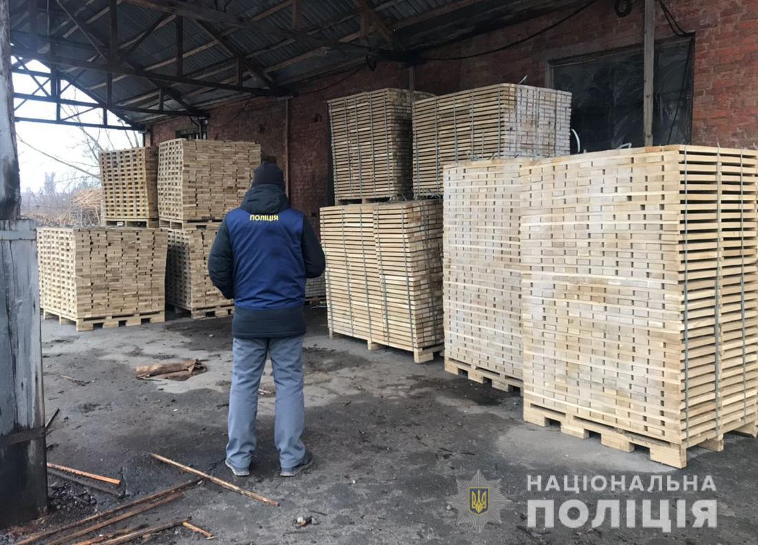 На Житомирщині судитимуть членів злочинної групи за незаконну порубку лісу