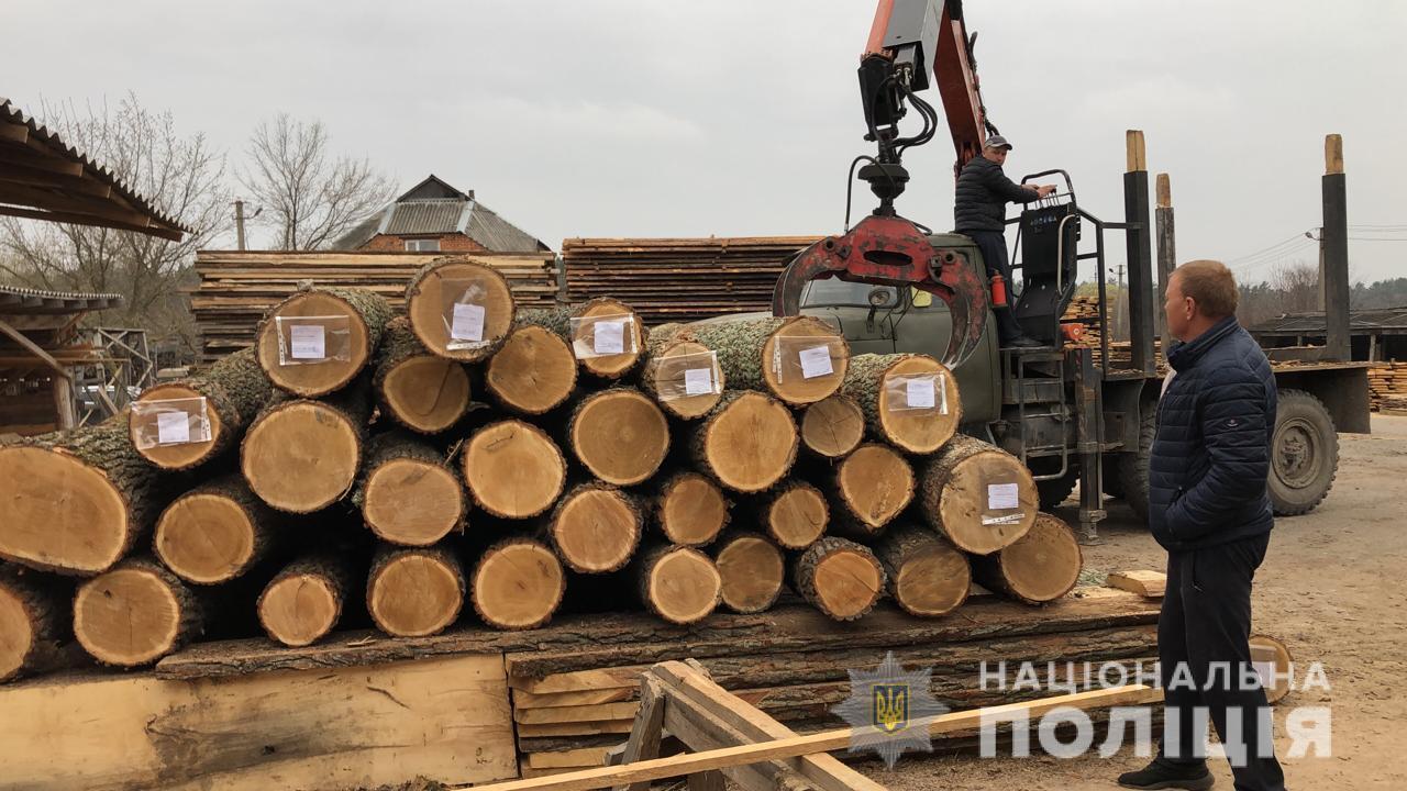 На Вінниччині поліцейські викрили організовану злочинну групу, яка налагодила схему розкрадання лісопродукції