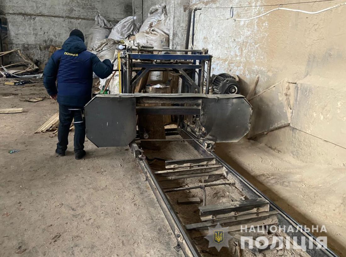 На Житомирщині судитимуть членів злочинної групи за незаконну порубку лісу