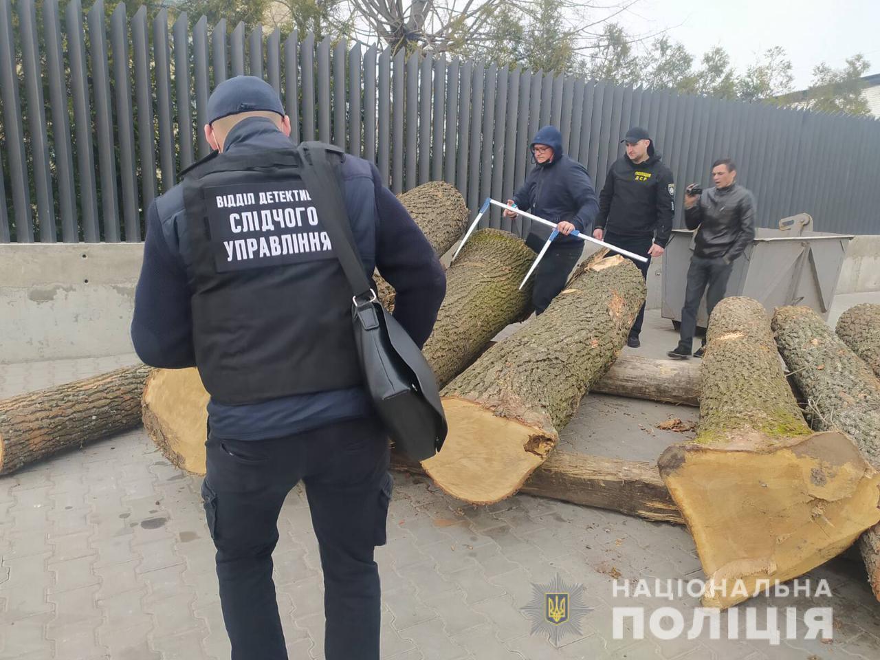 На Вінниччині поліцейські викрили організовану злочинну групу, яка налагодила схему розкрадання лісопродукції