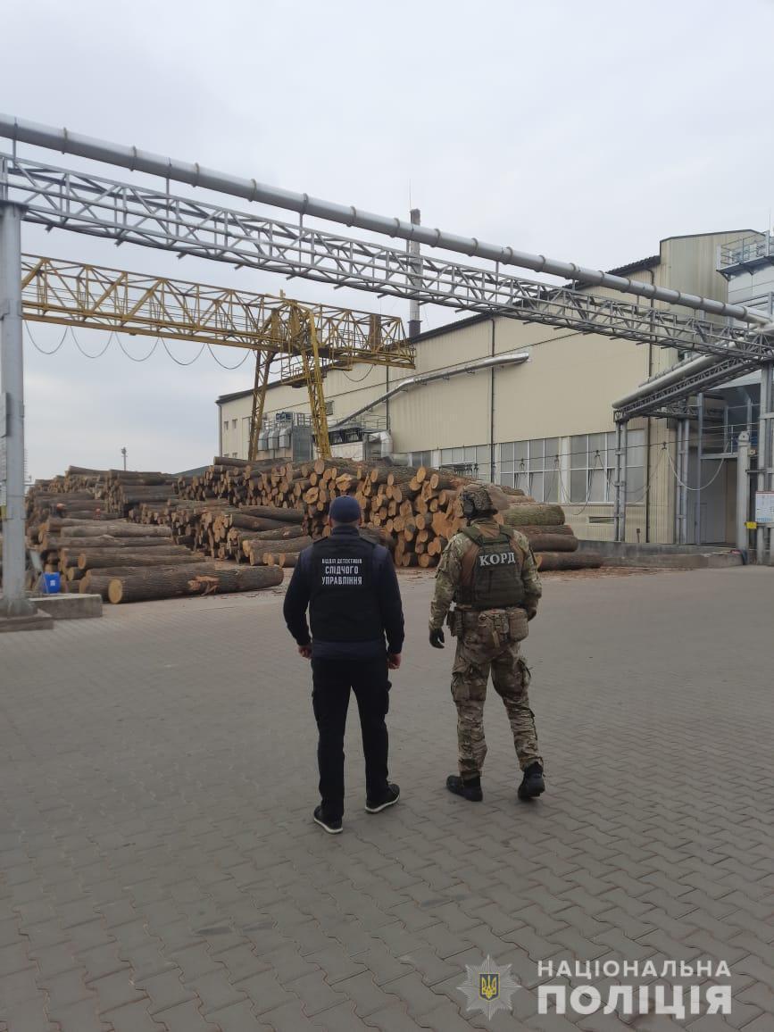 На Вінниччині поліцейські викрили організовану злочинну групу, яка налагодила схему розкрадання лісопродукції