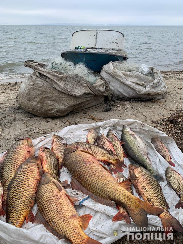 На Дністровському лимані водна поліція затримала трьох браконьєрів