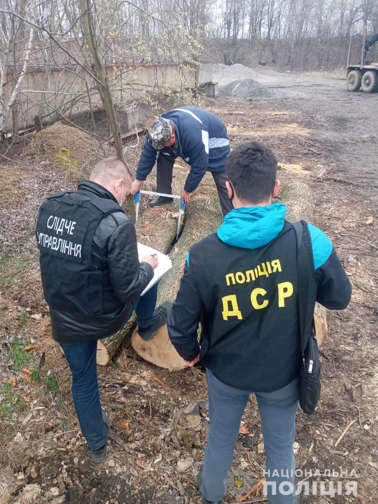 На Вінниччині поліцейські викрили організовану злочинну групу, яка налагодила схему розкрадання лісопродукції