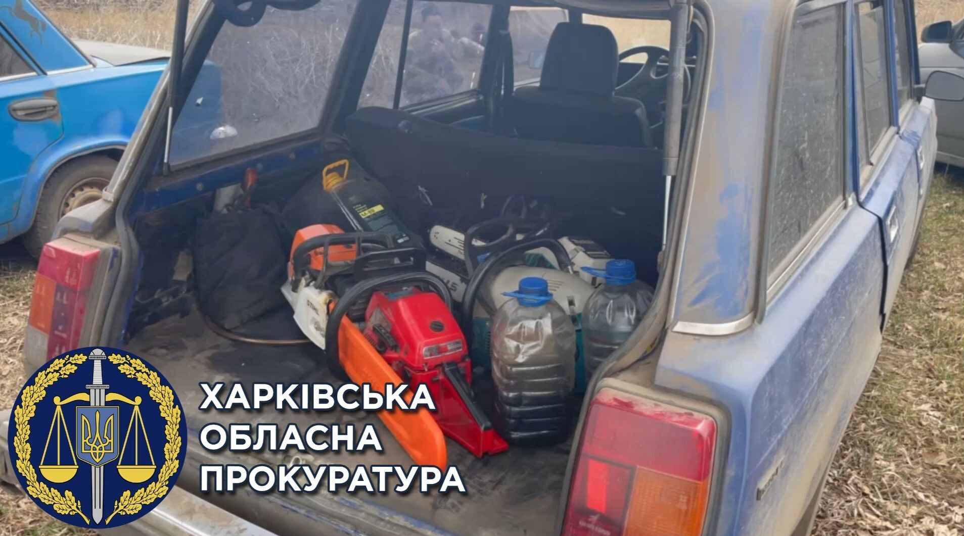 Прокурори зупинили незаконну вирубку лісу — чорному лісорубу-рецидивісту повідомлено про підозру (ФОТО)