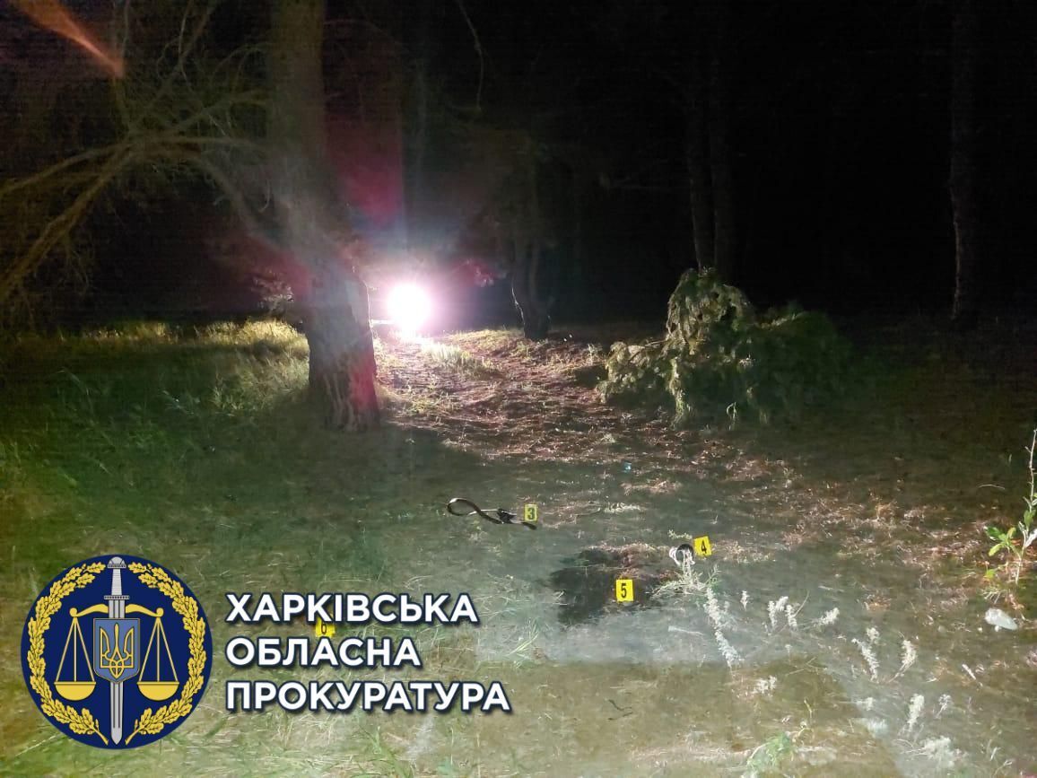 Прокуратура оскаржує вирок суду та вимагає довічного позбавлення волі чоловіку, який стріляв по компанії відпочиваючих (ФОТО)