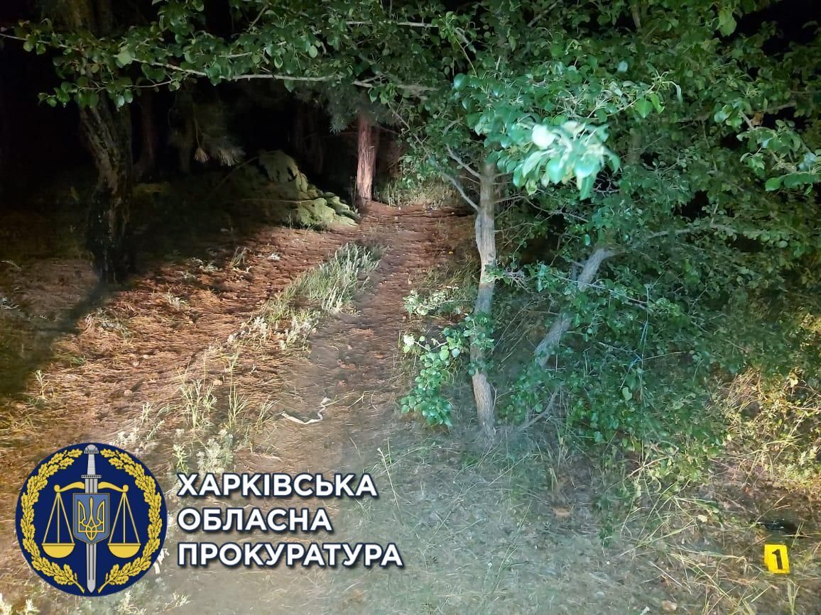 Прокуратура оскаржує вирок суду та вимагає довічного позбавлення волі чоловіку, який стріляв по компанії відпочиваючих (ФОТО)