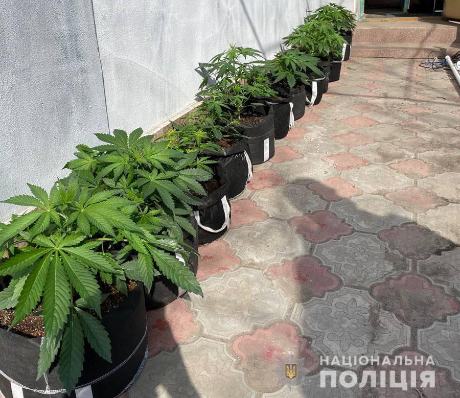 На Донеччині поліція викрила двох наркозбувачів