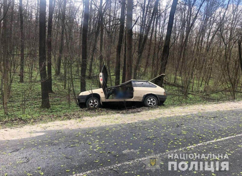Поліцейські Донеччини розслідують ДТП у Святогірську, в якій загинула пасажирка авто