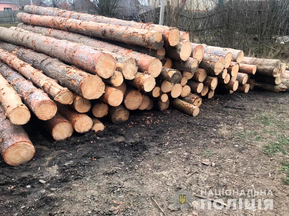 Поліцейські Буковини викрили незаконне вирубування дерев цінних порід