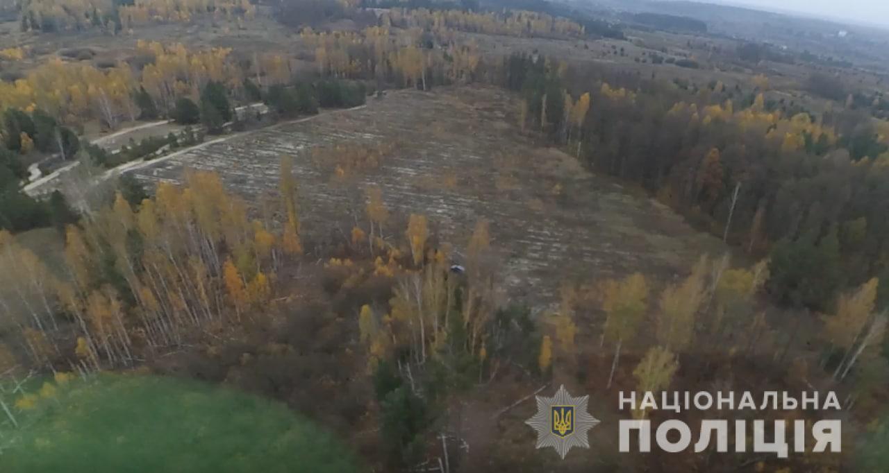 Правоохоронці оголосили підозру чотирьом посадовцям за незаконну порубку лісу на Київщині