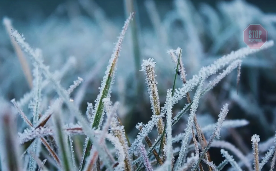 Фото: скріншот