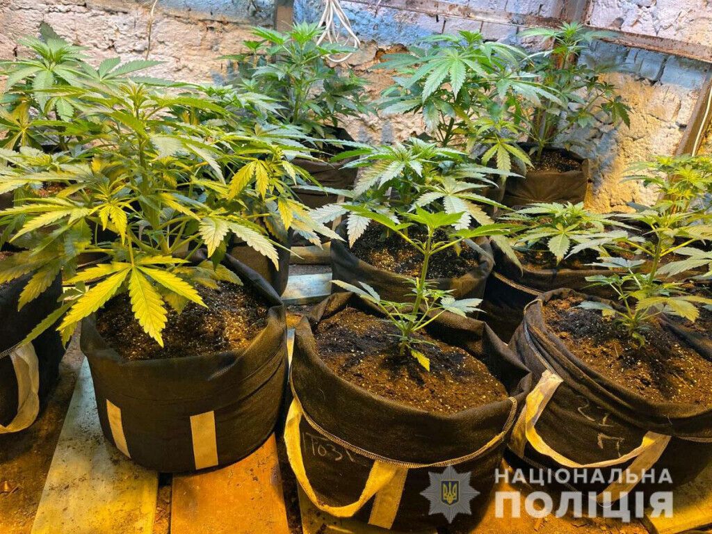 На Донеччині поліція викрила двох наркозбувачів
