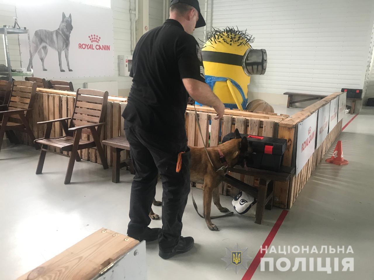 На Київщині пройшли змагання серед собак-детекторів