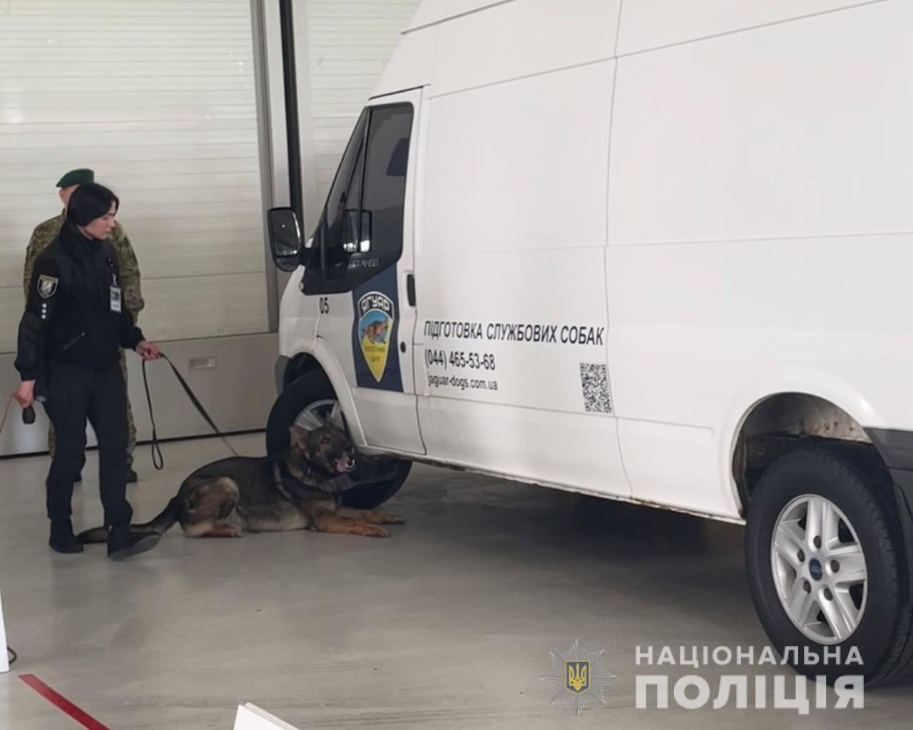 На Київщині пройшли змагання серед собак-детекторів