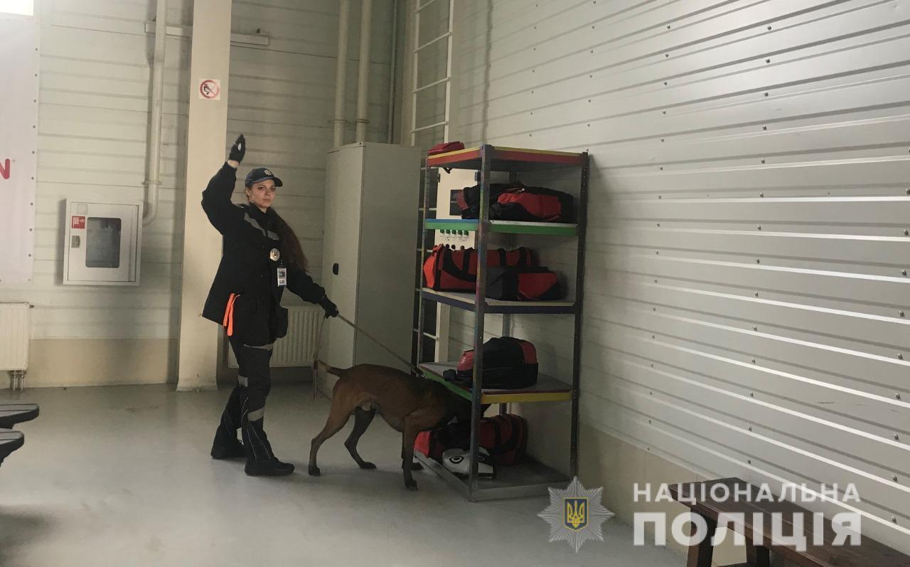 На Київщині пройшли змагання серед собак-детекторів