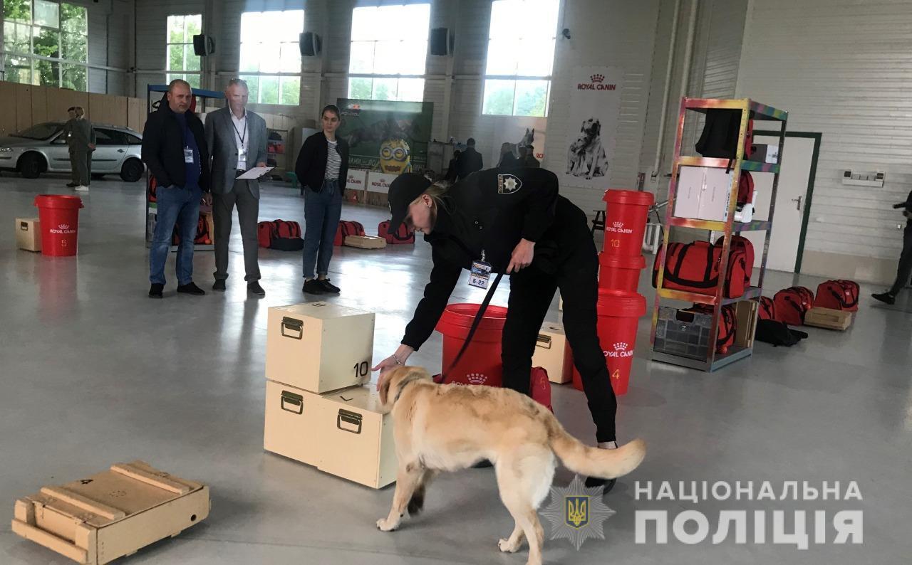 На Київщині пройшли змагання серед собак-детекторів