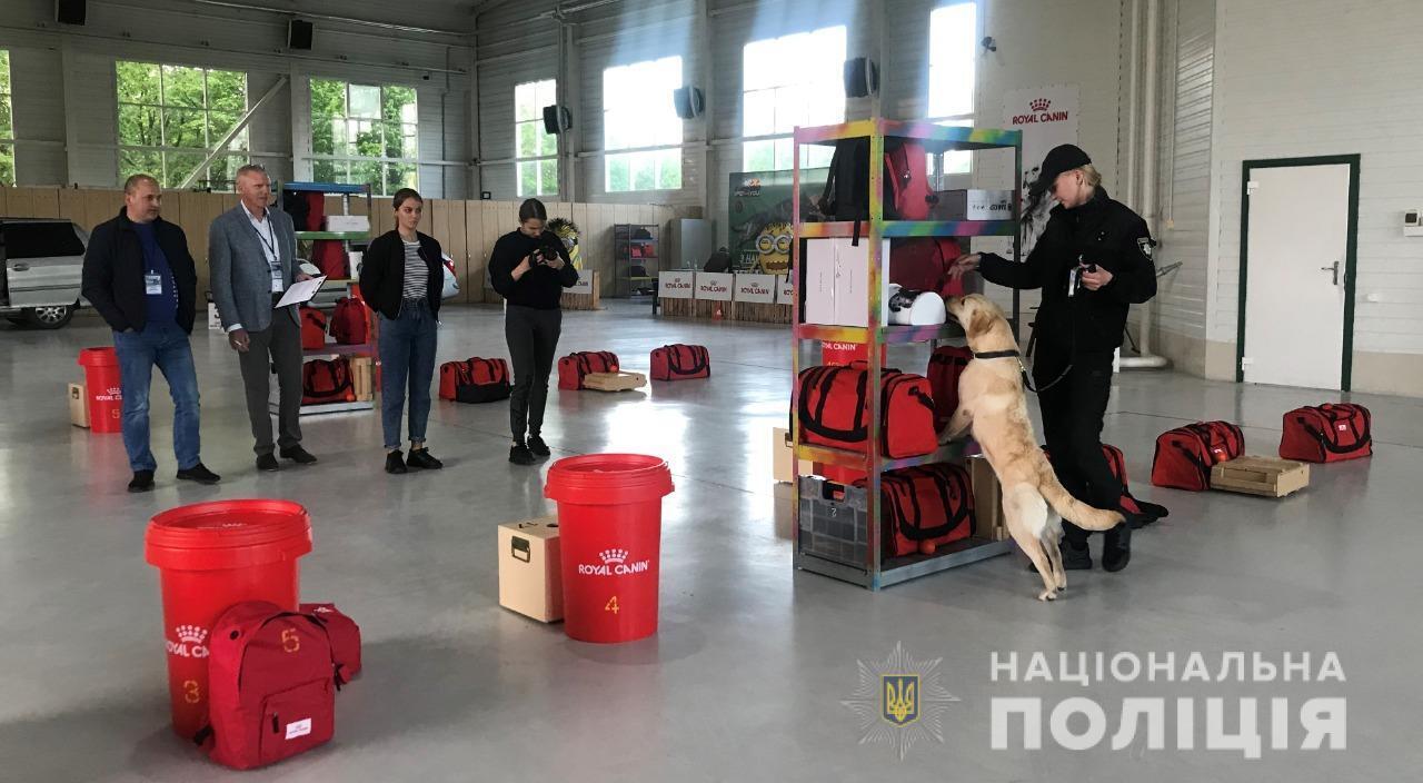 На Київщині пройшли змагання серед собак-детекторів