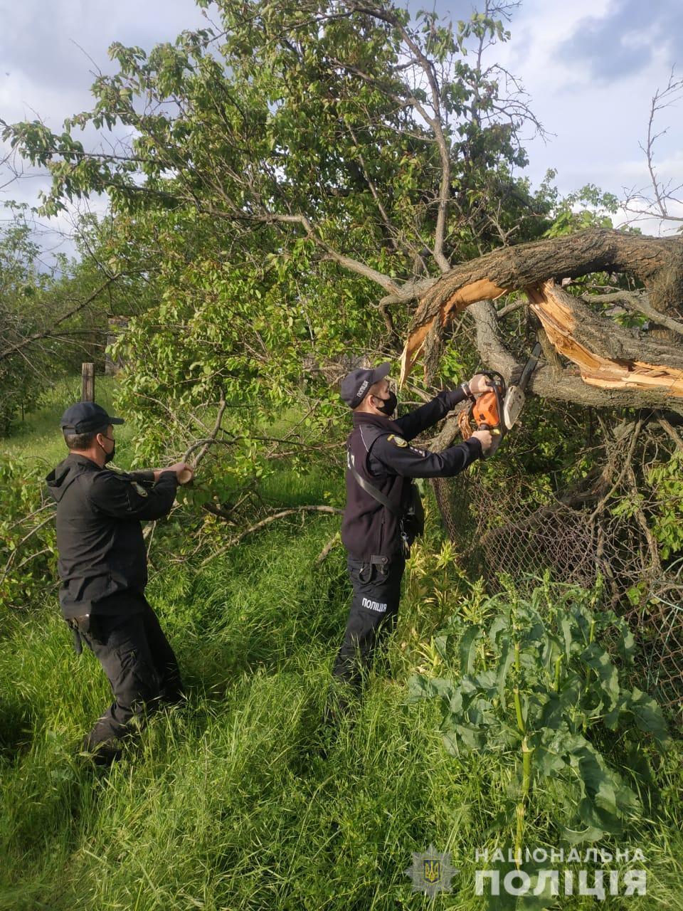 На Херсонщині поліцейські допомагають місцевим мешканцям долати наслідки сильного буревію