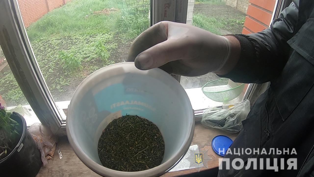 Жителя Одеси поліцейські викрили у незаконному вирощуванні конопель та зберіганні наркотичних засобів