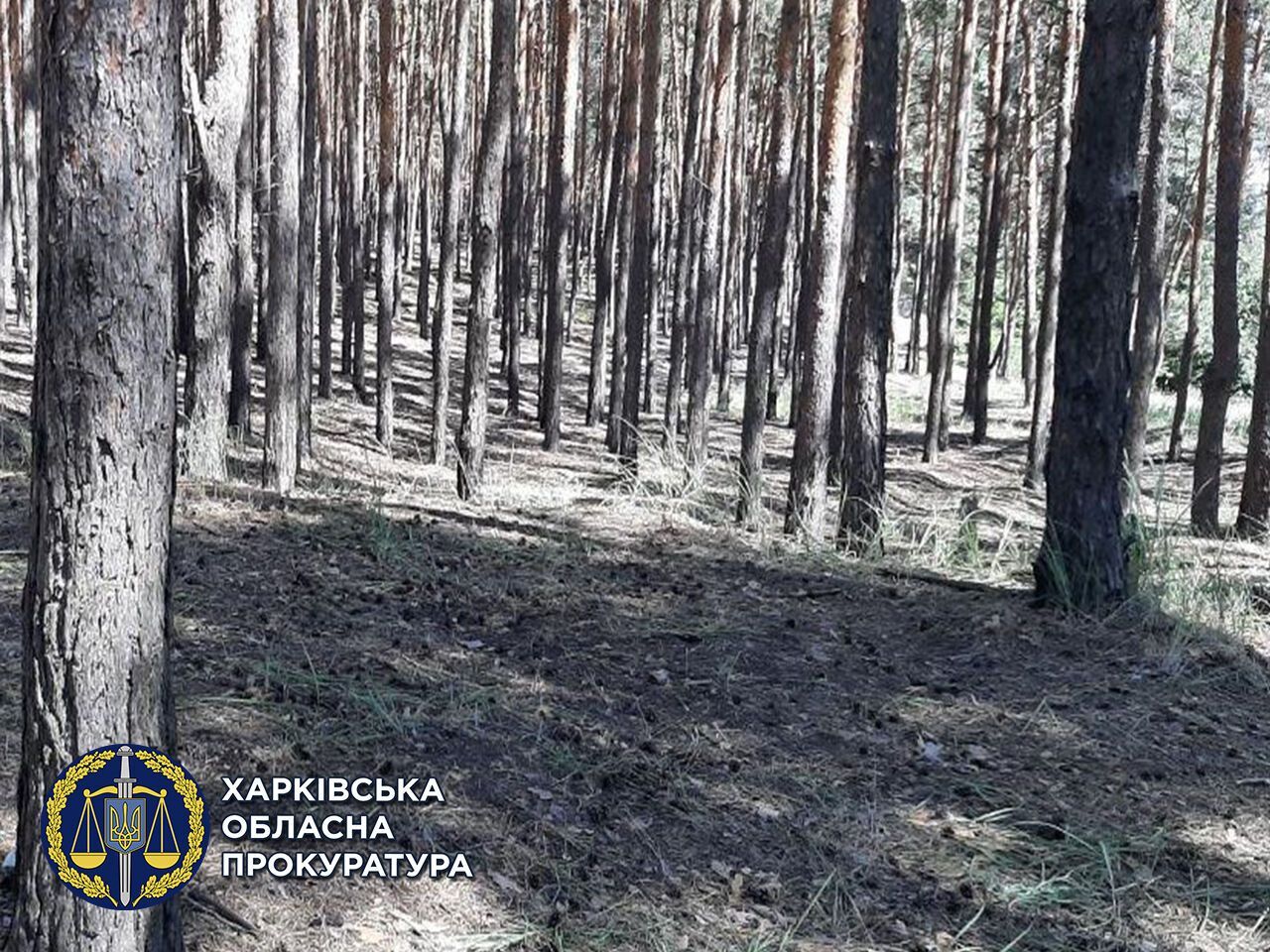 За зґвалтування жінкі чоловіка засуджено до 4 років позбавлення волі (ФОТО)