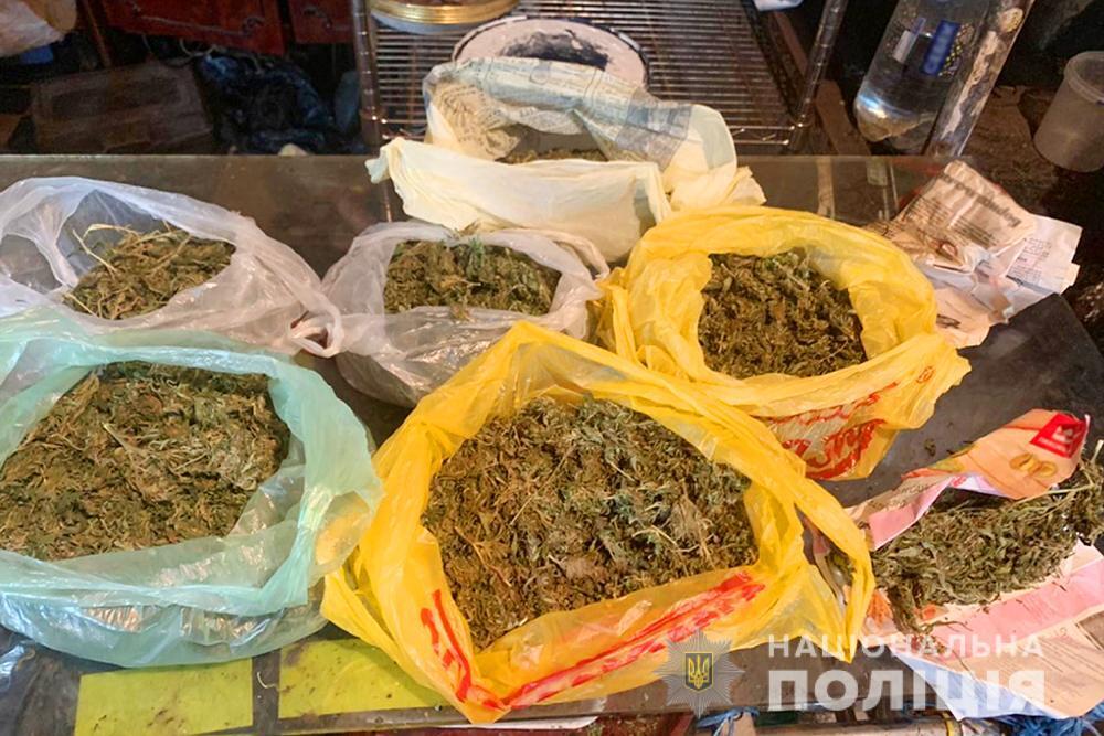 Поліцейські знищили понад пів тисячі рослин конопель: на території держави розпочалися оперативно-профілактичні заходи «Мак» (ВІДЕО)