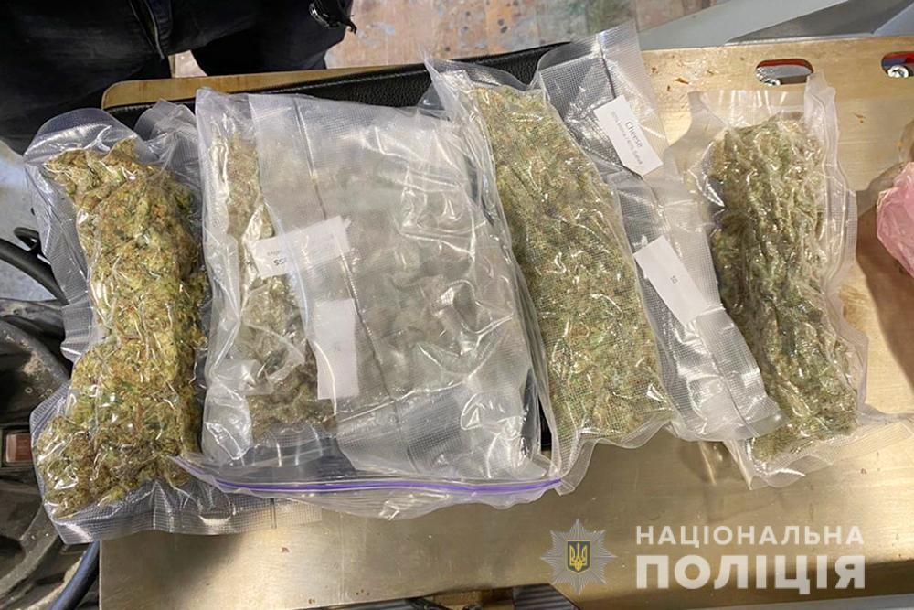 Поліцейські знищили понад пів тисячі рослин конопель: на території держави розпочалися оперативно-профілактичні заходи «Мак» (ВІДЕО)