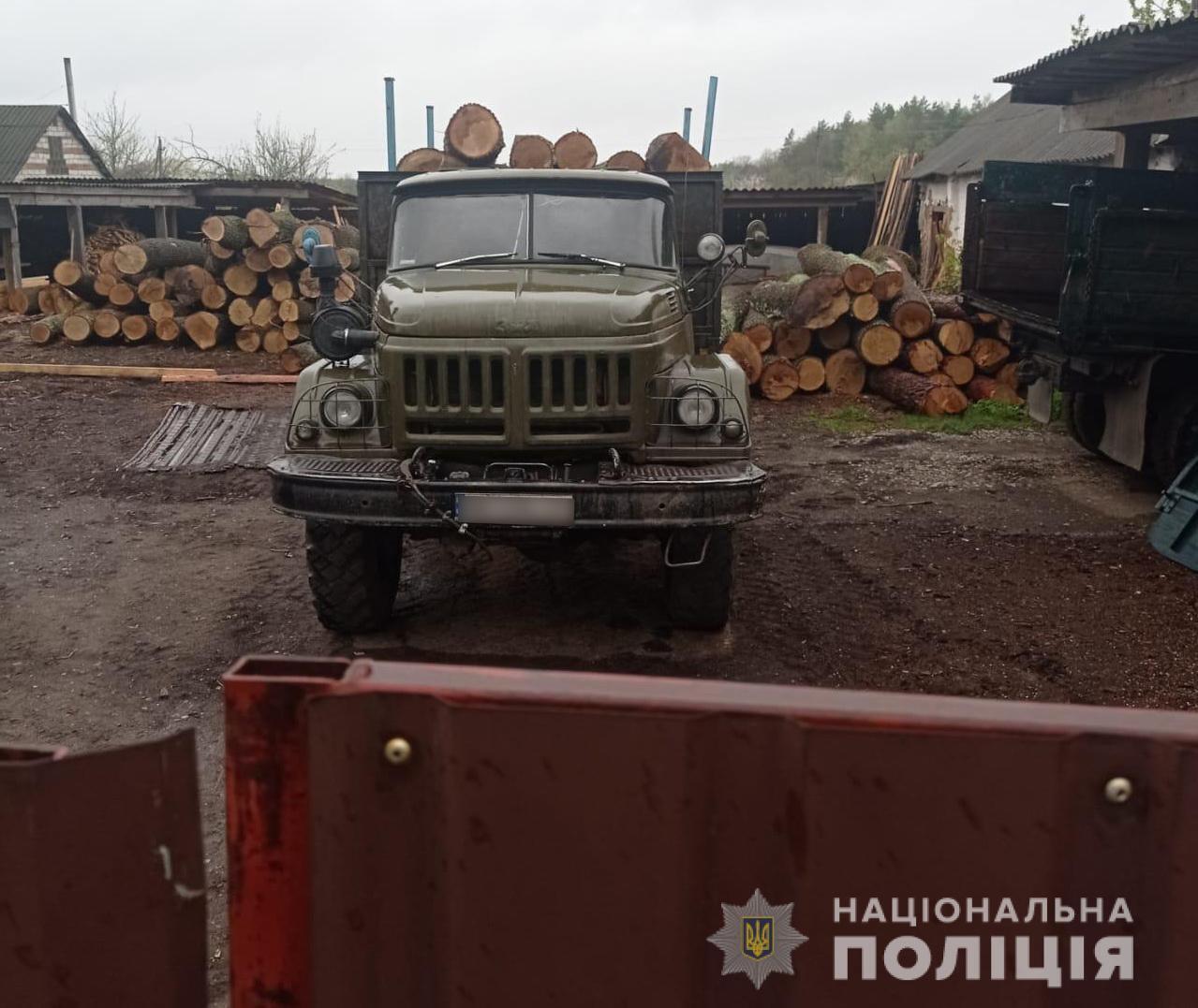Правоохоронці викрили масштабну схему розкрадання лісу на Глухівщині