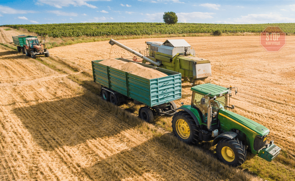  Фото: unicorns.com.ua