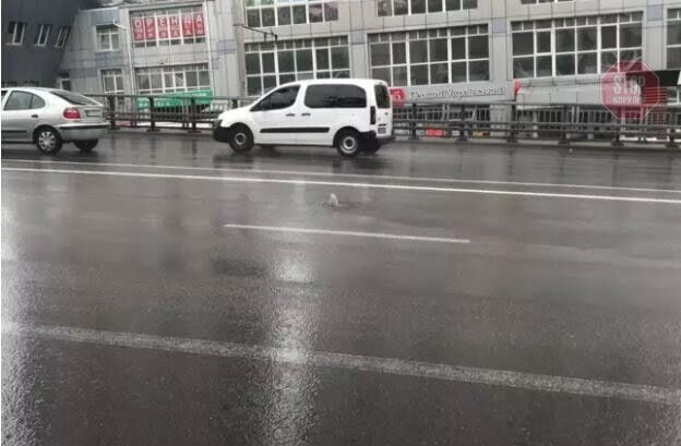  Фото: Сегодня