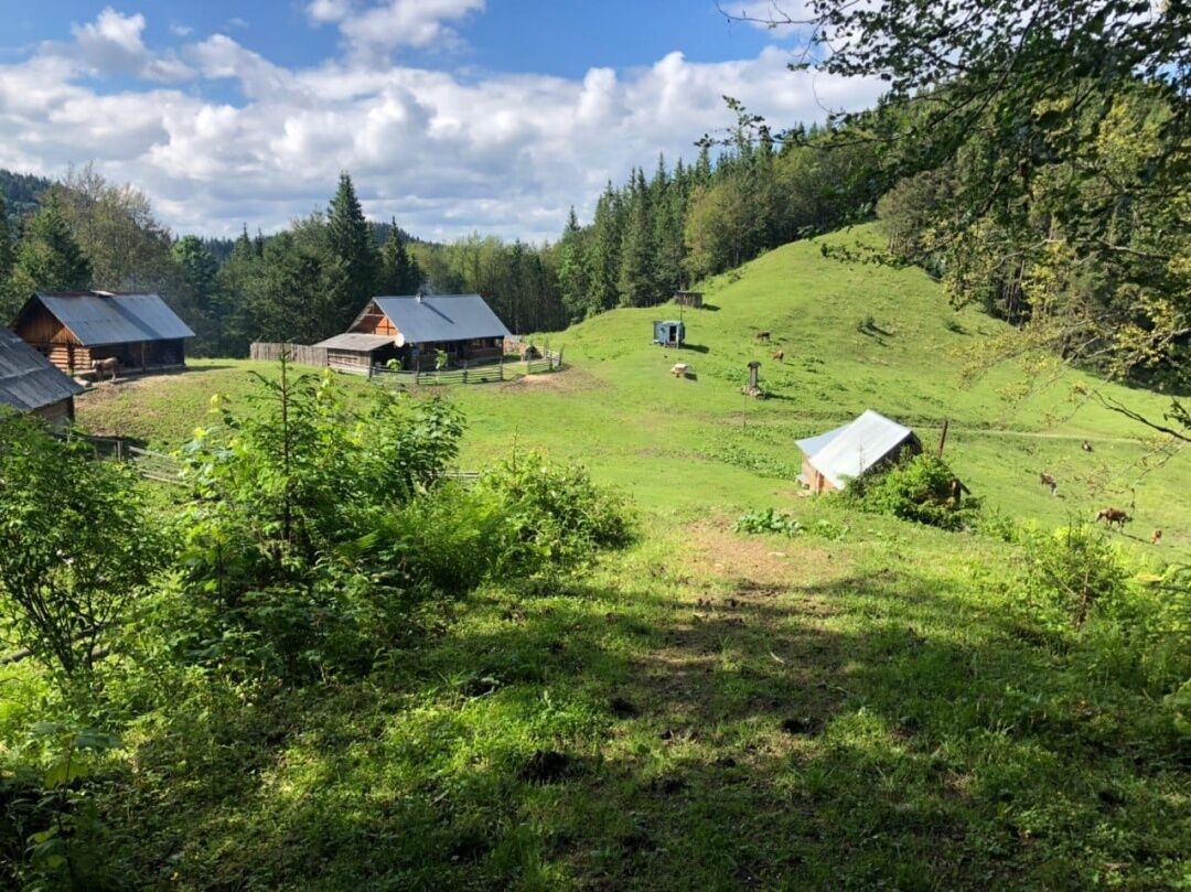 У Карпатах відновили кінні мандрівки та фотополювання