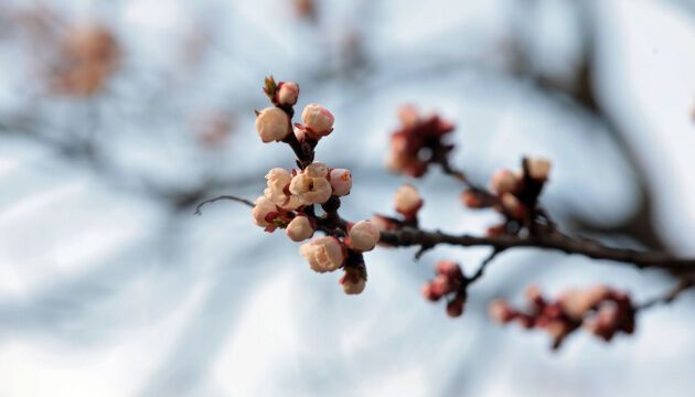 Журналістами року в Укрінформі стали Юлія Байрачна і Геннадій Мінченко