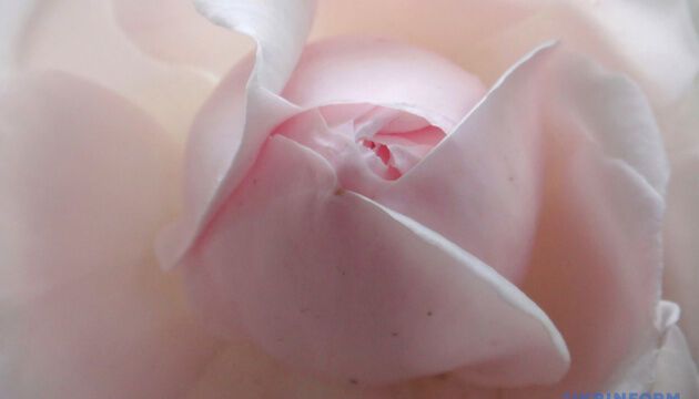 Журналістами року в Укрінформі стали Юлія Байрачна і Геннадій Мінченко