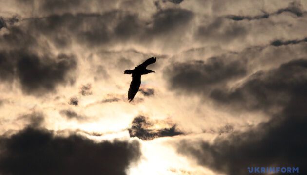 Журналістами року в Укрінформі стали Юлія Байрачна і Геннадій Мінченко