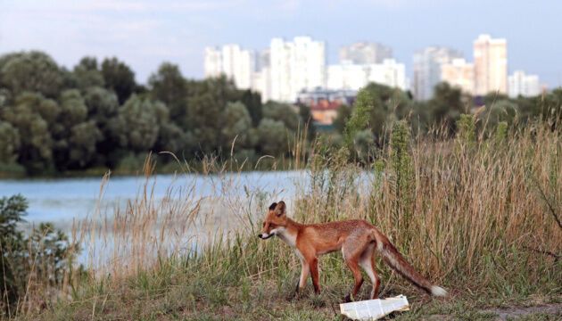 Журналістами року в Укрінформі стали Юлія Байрачна і Геннадій Мінченко