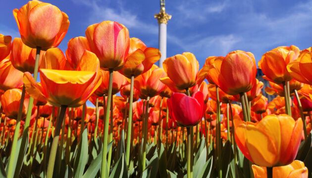 Журналістами року в Укрінформі стали Юлія Байрачна і Геннадій Мінченко