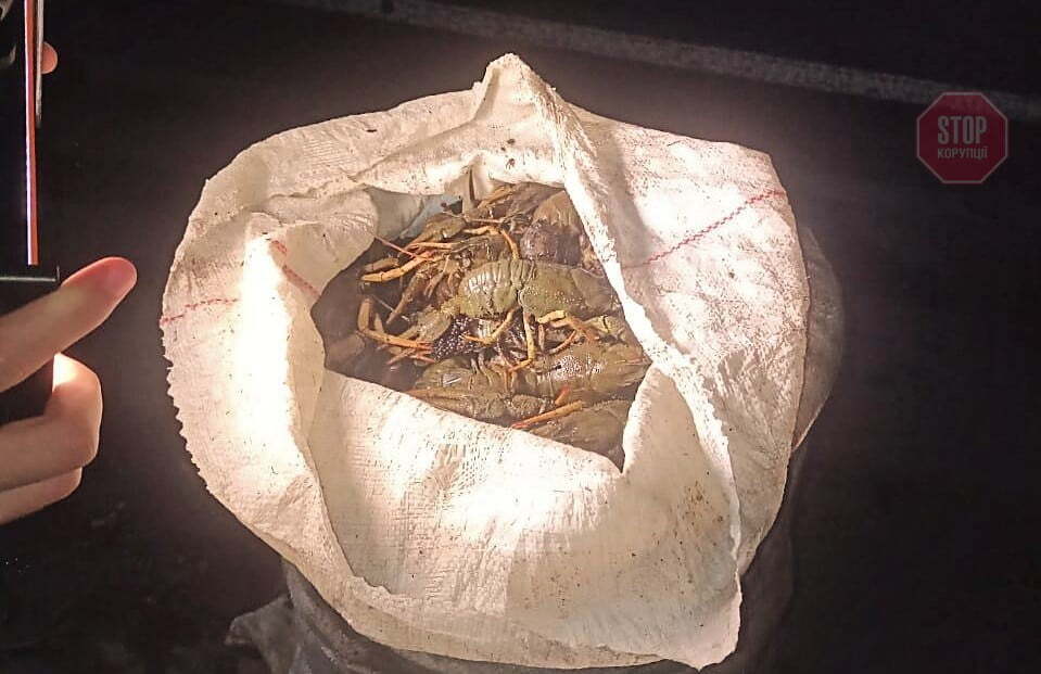  Фото: СтопКор