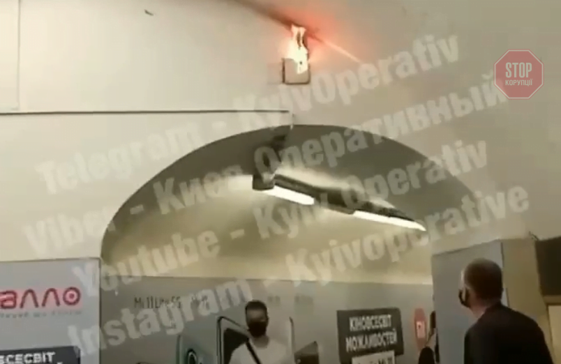 Фото: скриншот